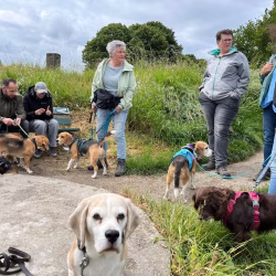 20250525-wandeling-Willemstad-16