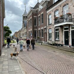 20250525-wandeling-Willemstad-18
