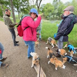 20250525-wandeling-Willemstad-19