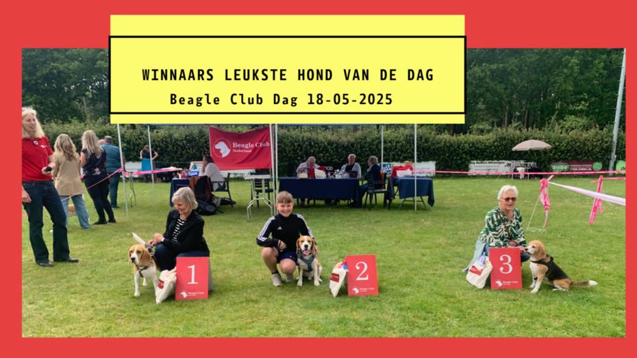 Wat een fantastische dag was het!
