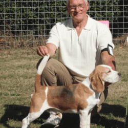 Best Opposite Sex (BOS)