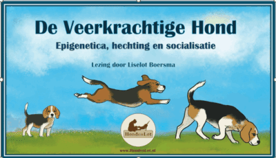 12-11-2025 Lezing 'De Veerkrachtige Hond'