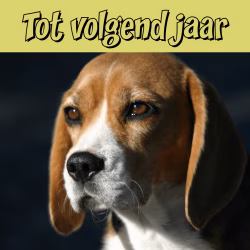 Tot volgend jaar