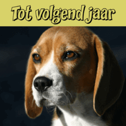 Tot volgend jaar