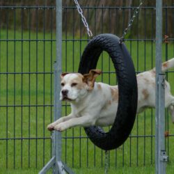 Afb_20140510 Sarah (35)