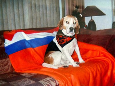 Boris *10 juni 2015 – †24 december 2025