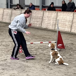 20260208-03-Aan de start