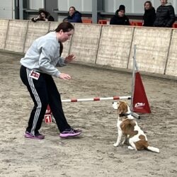 20260208-03-Aan de start