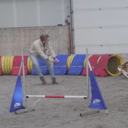 20260208-07-Op volle snelheid