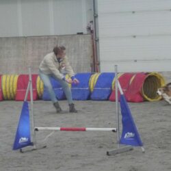 20260208-07-Op volle snelheid