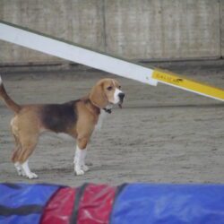 20260208-08-En nu baas