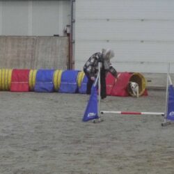 20260208-16-Veteraan