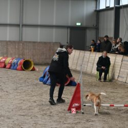 20260208-17Veteraan-2