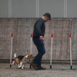 20260208-18-Paaltjes