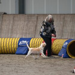 20260208-20-Veteraan-4