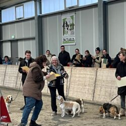 20260208-22-uitreiking orkondes