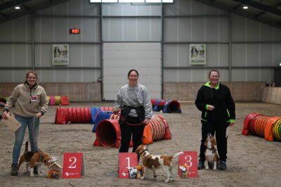 Onze allereerste Beagle Club Agility Kampioen is bekend…