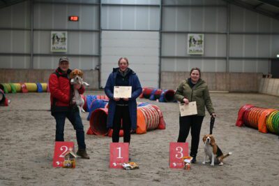 Onze allereerste Beagle Club Agility Kampioen is bekend…