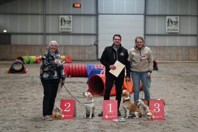 Onze allereerste Beagle Club Agility Kampioen is bekend…