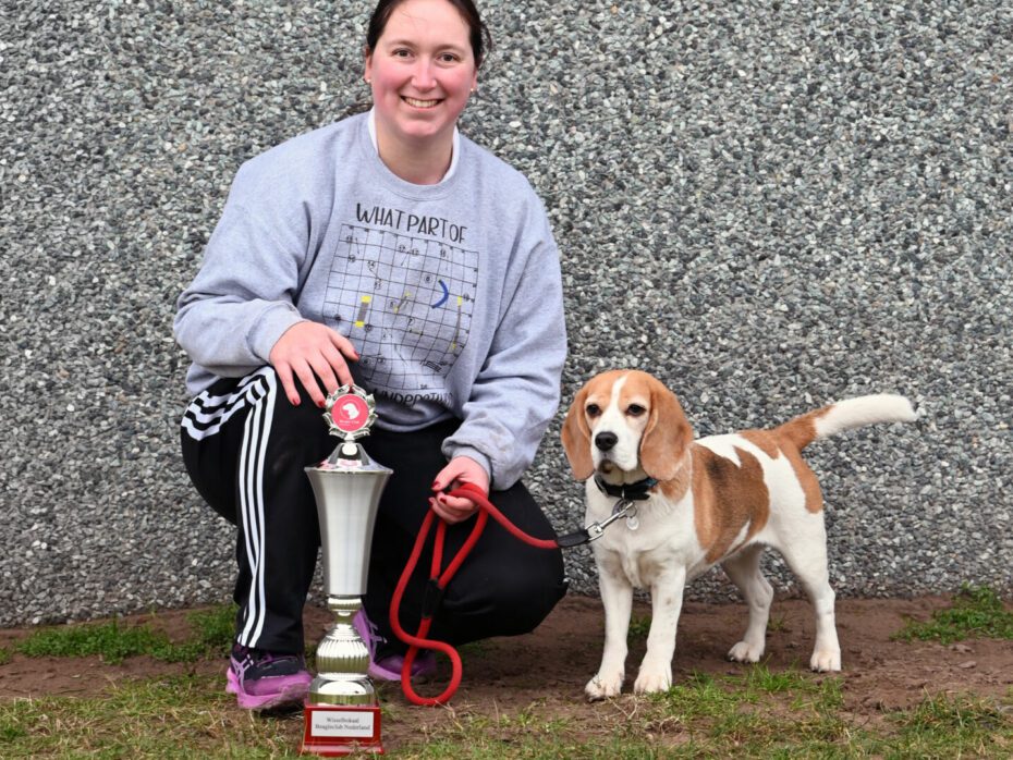 Onze allereerste Beagle Club Agility Kampioen is bekend…