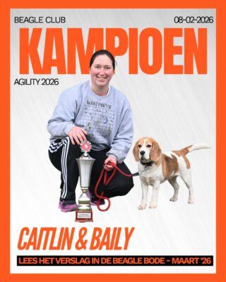 Onze allereerste Beagle Club Agility Kampioen is bekend…
