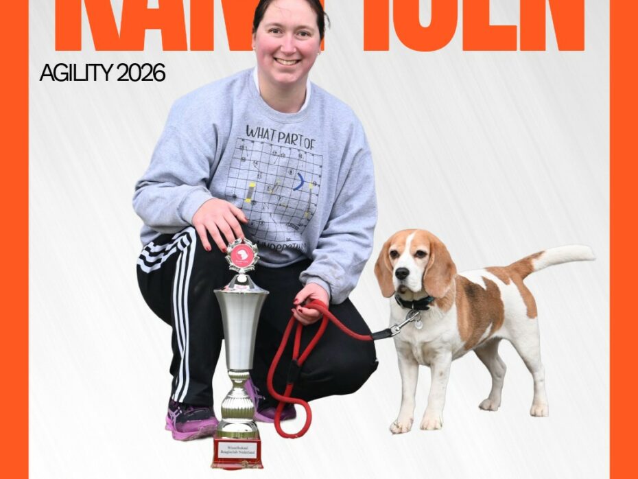 Onze allereerste Beagle Club Agility Kampioen is bekend…