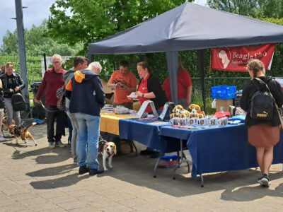 Beagle Club Dag 2025-3