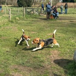 20260329-Deventer-speelmiddag-02