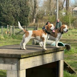 20260329-Deventer-speelmiddag-04