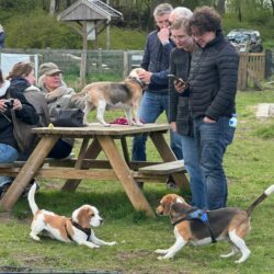 20260329-Deventer-speelmiddag-05
