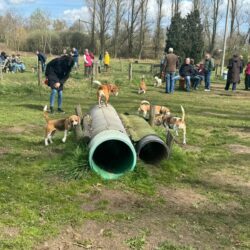 20260329-Deventer-speelmiddag-06
