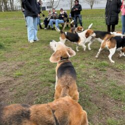 20260329-Deventer-speelmiddag-08