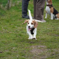 20260329-Deventer-speelmiddag-10