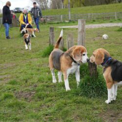 20260329-Deventer-speelmiddag-12