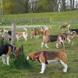 20260329-Deventer-speelmiddag-13