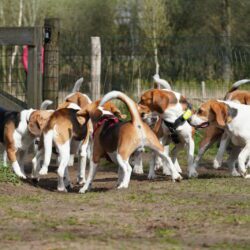 20260329-Deventer-speelmiddag-15