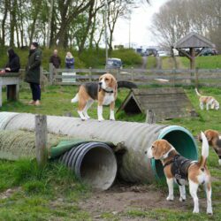 20260329-Deventer-speelmiddag-16