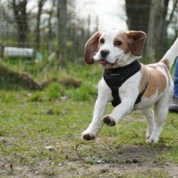 20260329-Deventer-speelmiddag-17