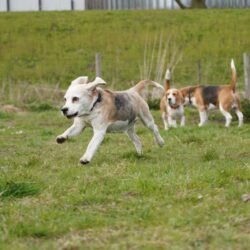20260329-Deventer-speelmiddag-20