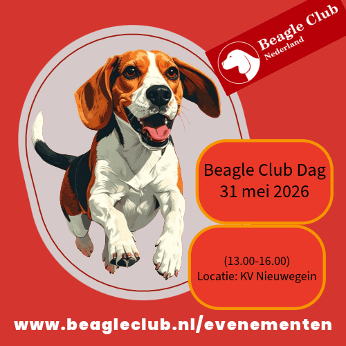 31-05-2026 Beagle Club Dag – Nieuwegein