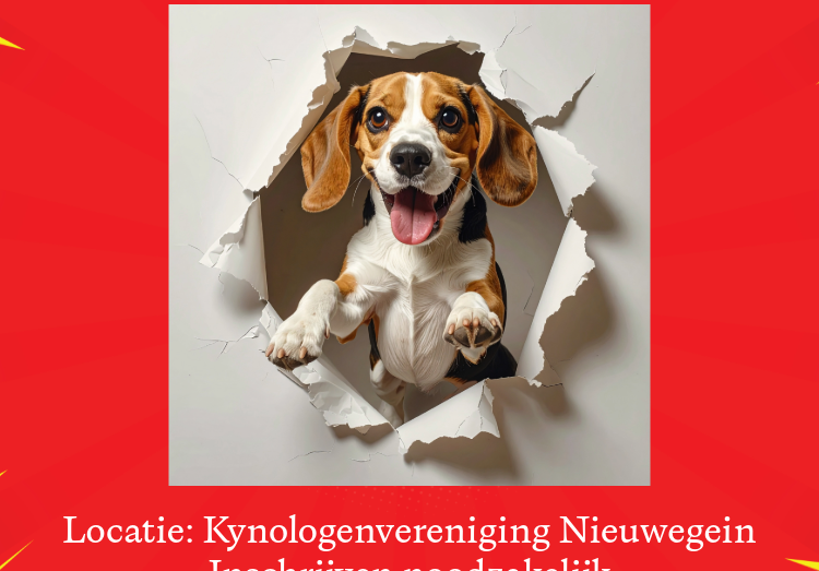 31-05-2025 Jongehondendag (Nieuwegein)