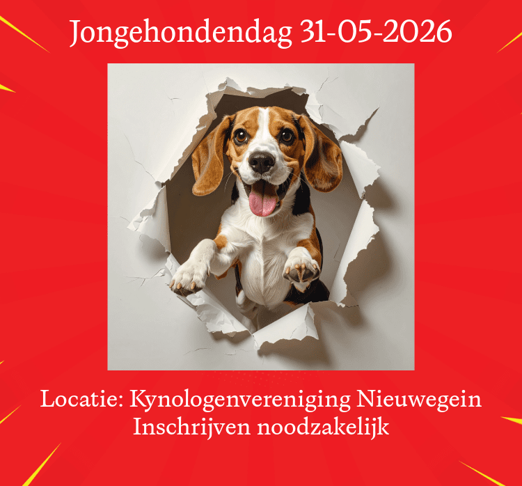 31-05-2026 Jongehondendag (Nieuwegein)