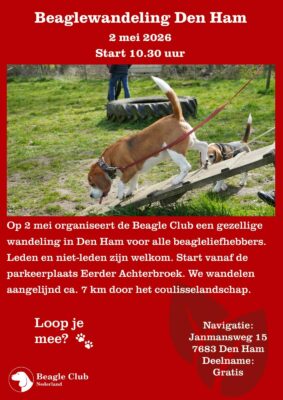 02-05-2026 Beaglewandeling Den Ham