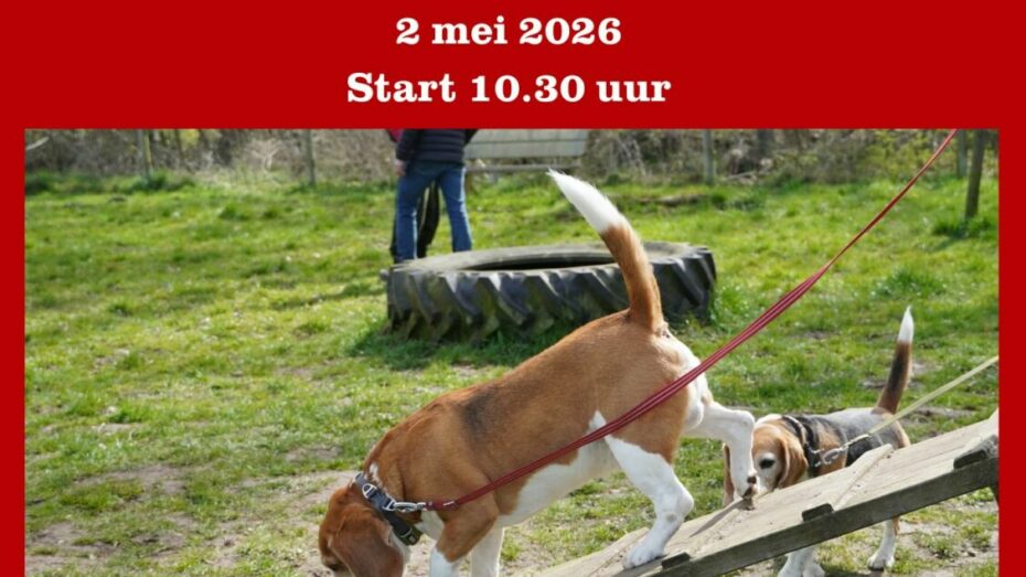 02-05-2026 Beaglewandeling Den Ham