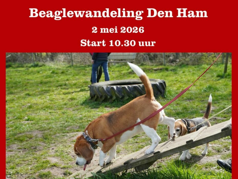 02-05-2026 Beaglewandeling Den Ham