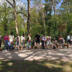 02052026-WandelingDenHam-01