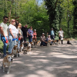 02052026-WandelingDenHam-02