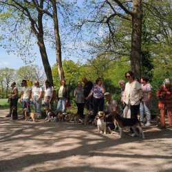 02052026-WandelingDenHam-03