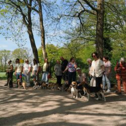 02052026-WandelingDenHam-03