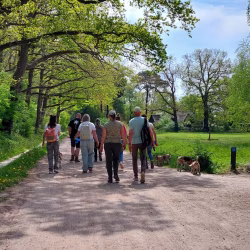02052026-WandelingDenHam-05